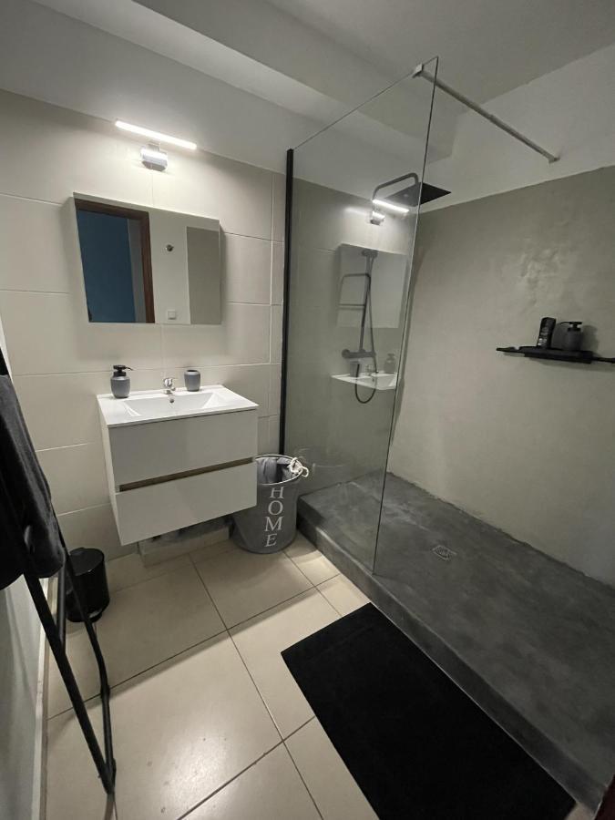 Loft Dionysien De Standing Apartment แซงต์-เดอนี ภายนอก รูปภาพ