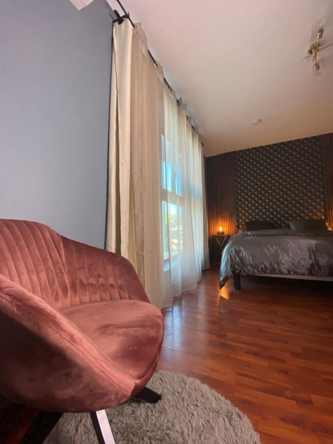 Loft Dionysien De Standing Apartment แซงต์-เดอนี ภายนอก รูปภาพ